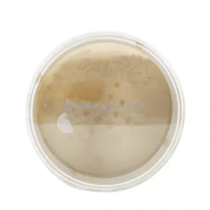 DermaQuest DermaMinerals Buildable Coverage Loose Mineral Powder SPF 20 - # 4N 11.4g/0.4oz - Fresh Bloom Skin - Premium Skincare Solutions for Nourished, Hydrated, and Radiant Skin Every Day